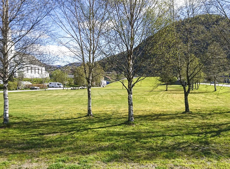 Forretningsbygg frå parken