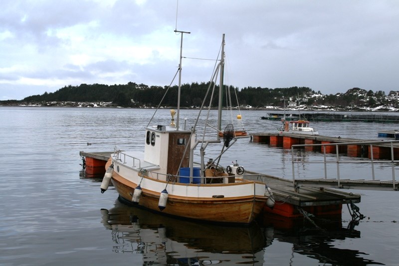 Fiskebåt