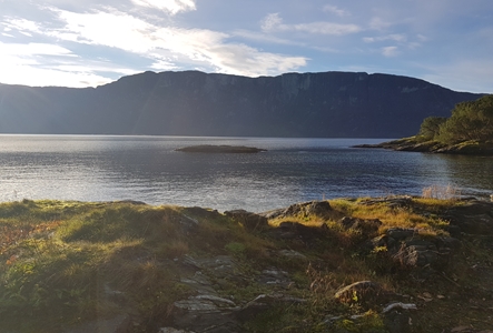 Utsikt over fjorden mot kollektor