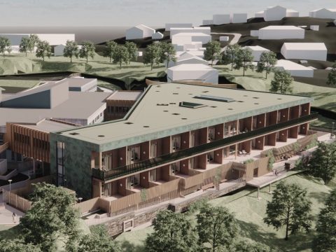 Nordås fargejustert